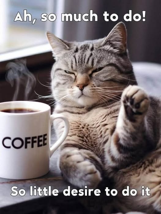 Work and writing update